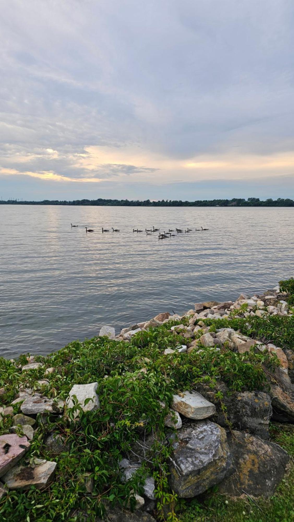 Hotel Oasis Lac St-Louis Salaberry-de-Valleyfield Buitenkant foto