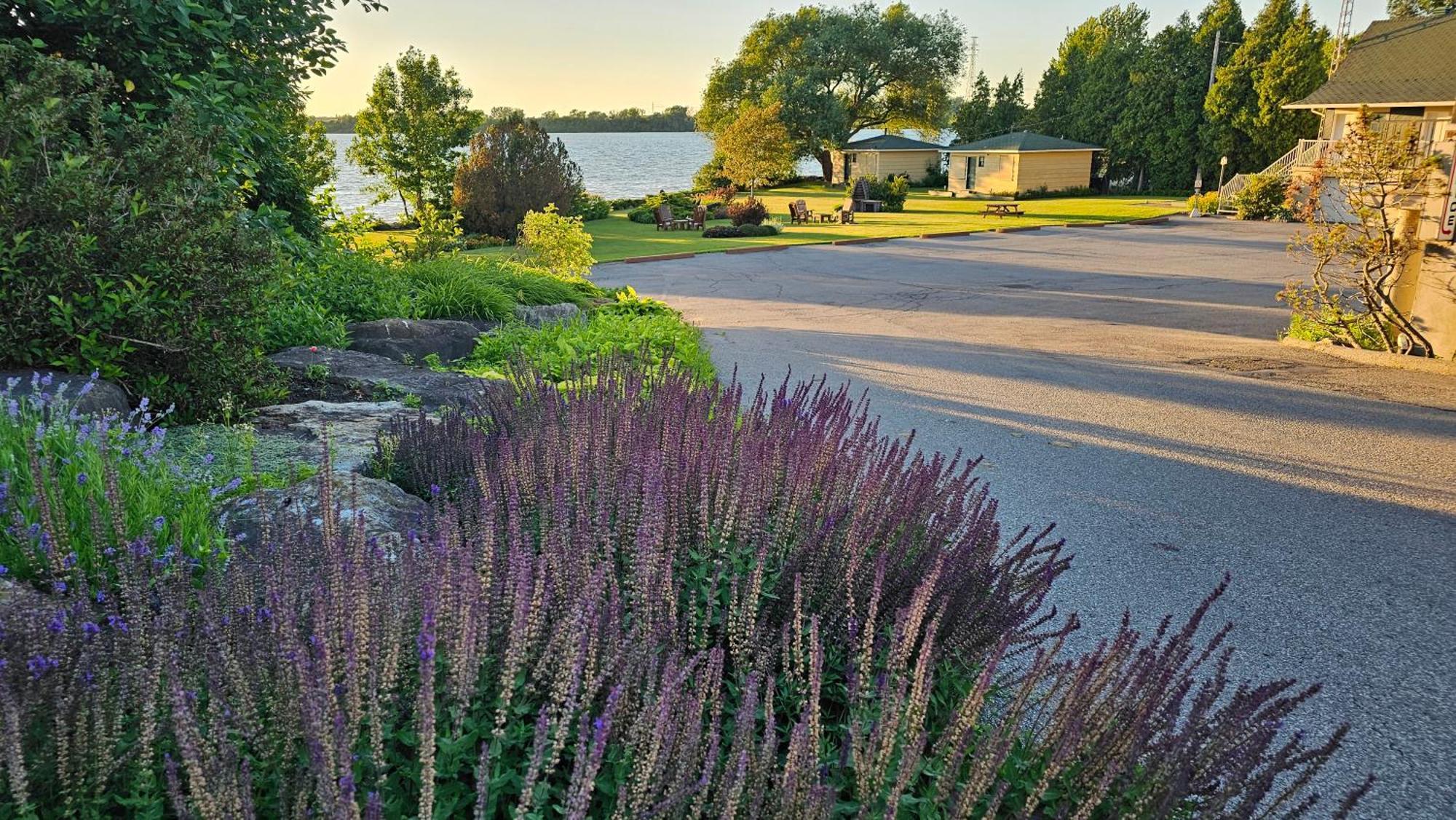Hotel Oasis Lac St-Louis Salaberry-de-Valleyfield Buitenkant foto