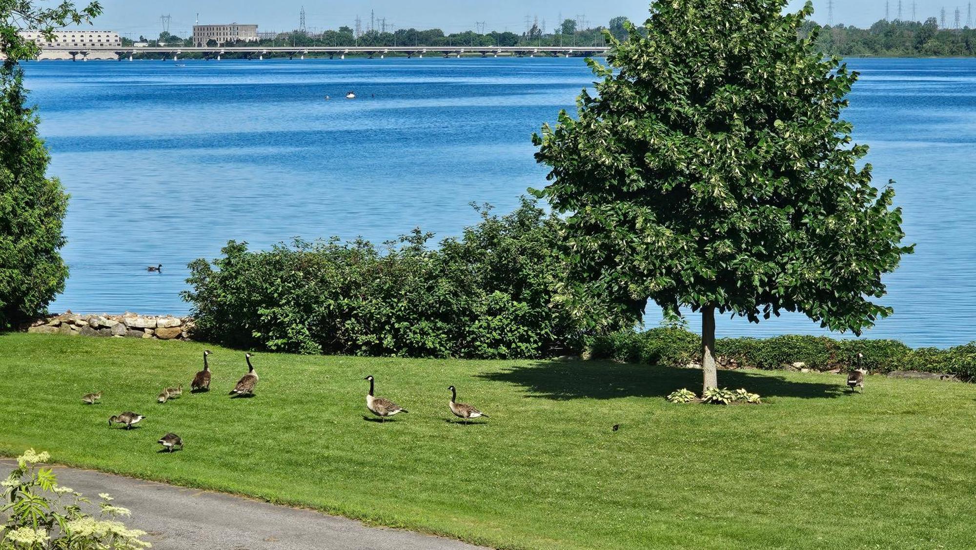 Hotel Oasis Lac St-Louis Salaberry-de-Valleyfield Buitenkant foto
