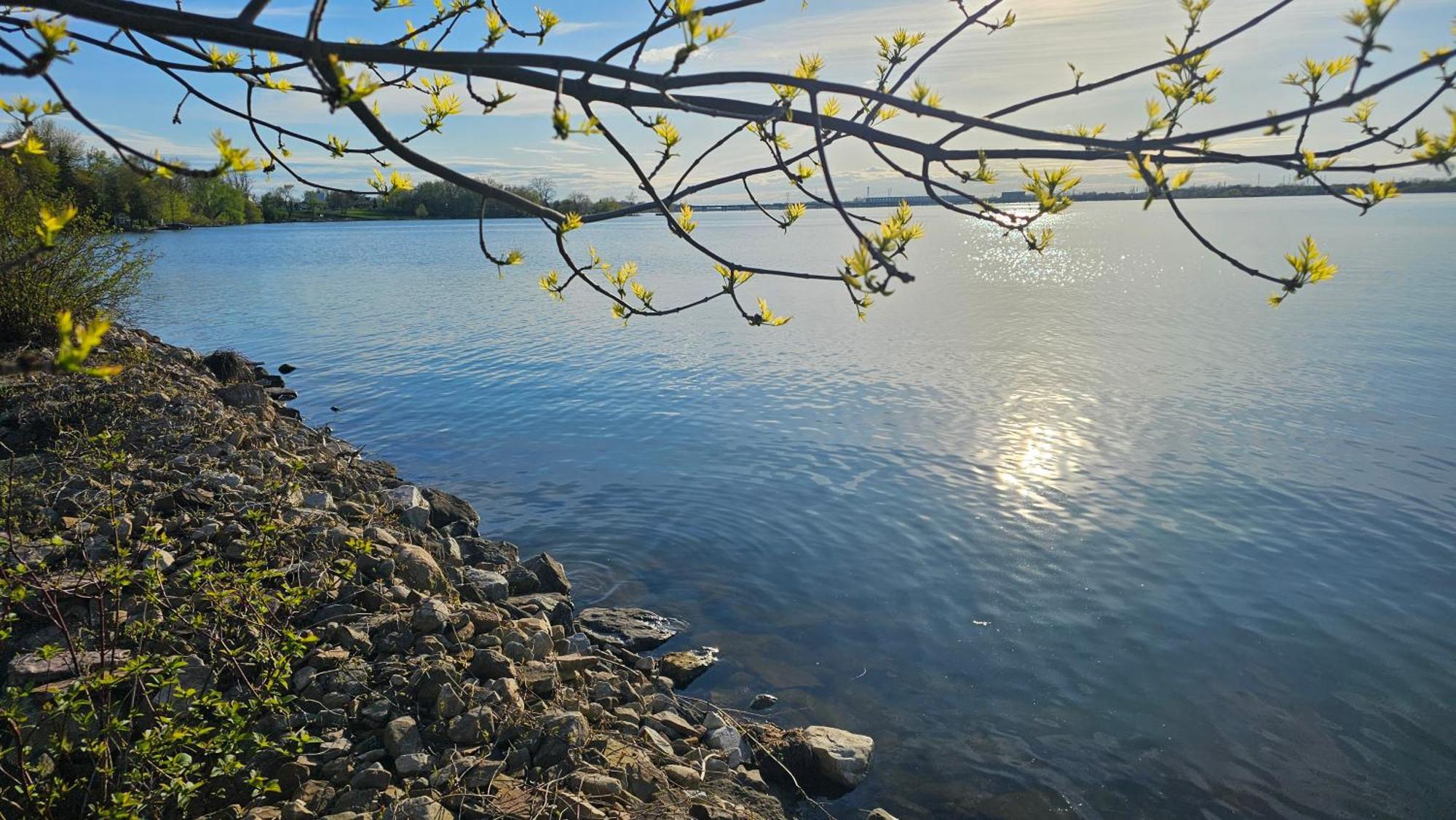 Hotel Oasis Lac St-Louis Salaberry-de-Valleyfield Buitenkant foto